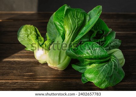 Similar – Image, Stock Photo Bok choy on wooden table