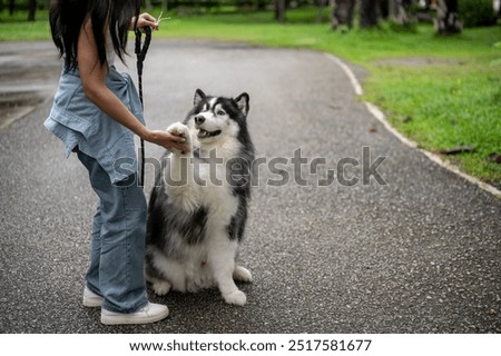 Similar – Image, Stock Photo Crop woman with dog resting at home