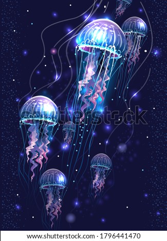 Similar – Image, Stock Photo jelly Jellyfish