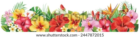 Border from hibiscus flowers and Tropical Leaf