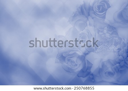 hearts bokeh background with rose flower for valentines day