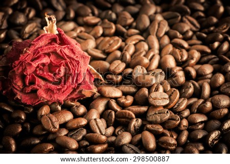 Still life vintage dry rose flower on coffee bean background