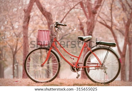 Bicycle at the park with vintage light background