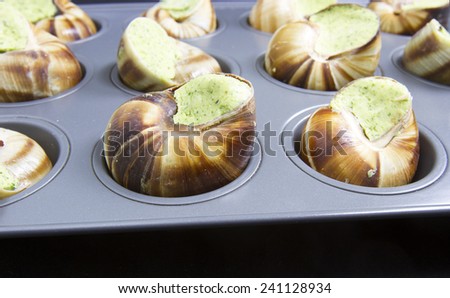Escargot in shells stuffed with butter and parsley in mini muffin tins