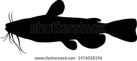 Download Catfish Silhouette At Getdrawings Free Download