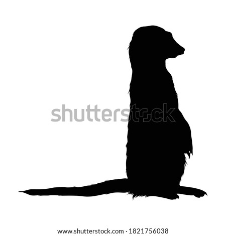 Standing Meerkat (Suricata suricatta) On a Side View Silhouette Found In Map Of Africa. Good To Use For Element Print Book, Animal Book and Animal Content