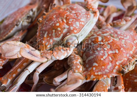 fresh crab seafood on plate