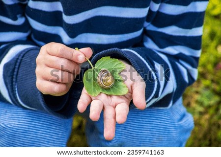 Similar – Image, Stock Photo security Snail shell