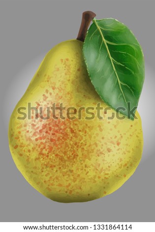 Vector Duchess pear with leaf