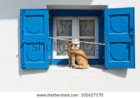 Blue window of whitewashed house and red cat sitting between shutters