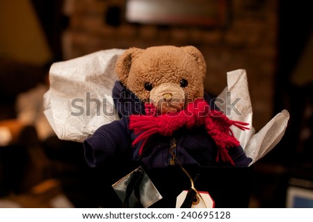 Teddy Bear Gift for the Holidays