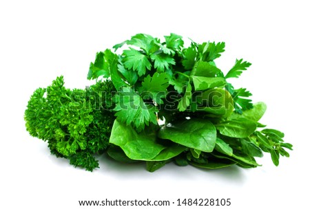 Similar – Image, Stock Photo A bunch of green asparagus on wooden surface