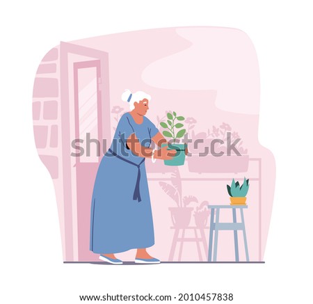 Senior Woman Gardening Hobby. Aged Grey Haired Female Character Caring of Home Plants in Pots. Old Lady in Domestic Dress Carry Flower Pot with Green Sprout. Cartoon People Vector Illustration