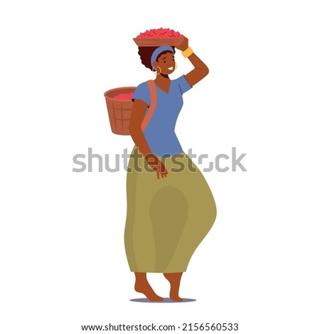 Woman Farmer Work on Coffee Plantation Carry Basket on Head and Back Isolated on White Background. African Female Character Grow Crop, Harvesting, Cultivate Beans. Cartoon People Vector Illustration