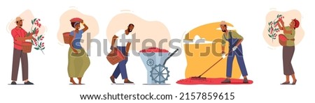 Set of Farmers Work on Coffee Plantation Isolated on White Background. Male and Female Characters Growing, Harvesting, Grinding, Raking Beans, Industry, Cultivation. Cartoon People Vector Illustration