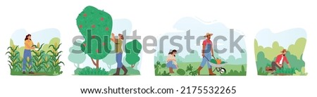 Set Characters Harvesting in Garden or Orchard, Gardeners Collecting Fruits and Vegetables Crop, Ecological Healthy Farm Production. Seasonal Work, Autumn Harvest. Cartoon People Vector Illustration
