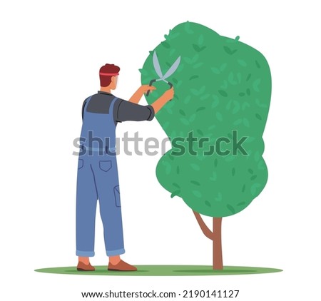Worker Male Character Trimming Tree in Garden Isolated on white Background. Man Doing Gardener Works Prune and Cut Branches with Scissors. Farmer Yardwork Occupation. Cartoon Vector Illustration