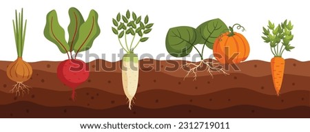 Vegetables Grow In Ground Cross Section View Of Onion, Beetroot, Daikon And Pumpkin with Carrot Veggies in Soil with Roots and Leaves. Natural Process Of Plant Development. Cartoon Vector Illustration