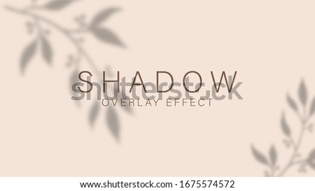 Shadow overlay effect. Transparent soft light and shadows from branches, plant, foliage and leaves. Mockup of transparent leaf shadow overlay effect and natural lightning. Vector mock up gradient mesh Foto stock © 