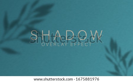 Shadow overlay effect. Transparent soft light and shadows from branches, plant, foliage and leaves. Mockup of transparent leaf shadow overlay effect and natural lightning. Vector mock up gradient mesh