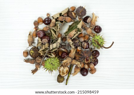 Decorative autumn border with chestnuts , hazelnuts