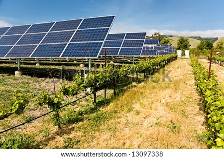 Solar photo voltaic collectors powering a California vineyard, reducing the carbon footprint