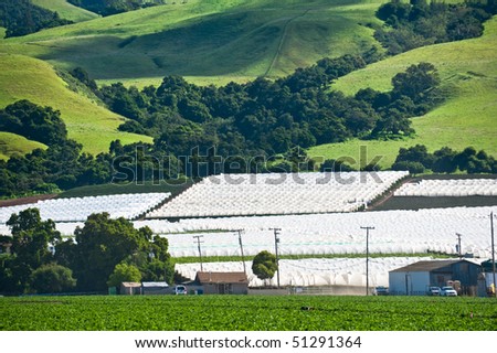 Agricultural development pushing up onto a California mountainside