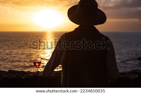 Similar – Image, Stock Photo Senior lady admiring sunset over ocean from boardwalk