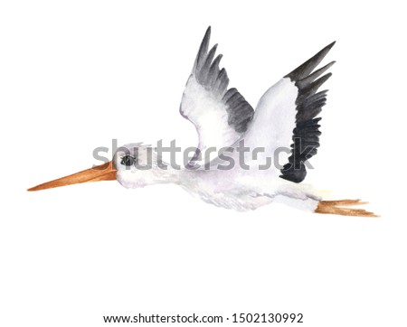 Flying white stork. Isolated object on the white background, watercolor hand drawn illustration, cartoon characte