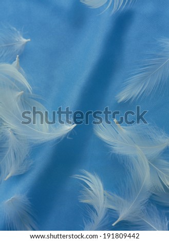 The image of white feather