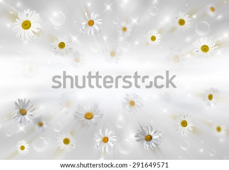 Many daisies on gray background. Volumetric background.