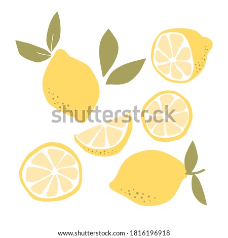 Abstract modern set of lemon fruit icon  isolated on white background. Vector hand drawn flat  illustration.   lemon logo design.