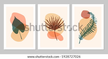 Hand drawn abstract set boho tropical leaf with color shape isolated on beige background. Vector flat illustration. Design for pattern, logo, posters, invitation, greeting card 