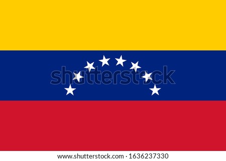 Copy of the national flag of the Bolivarian Republic of Venezuela 