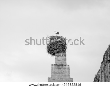 MARRAKECH, MOROCCO - JANUARY 23, 2014: Stork at El Badi palace in Marrakech Morocco in black and white