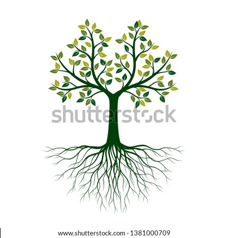 Tree And Roots Drawing | Free download on ClipArtMag