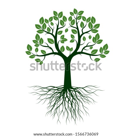 Tree And Roots Drawing 