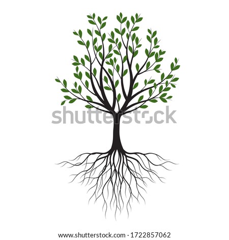 Tree And Roots Drawing | Free download on ClipArtMag