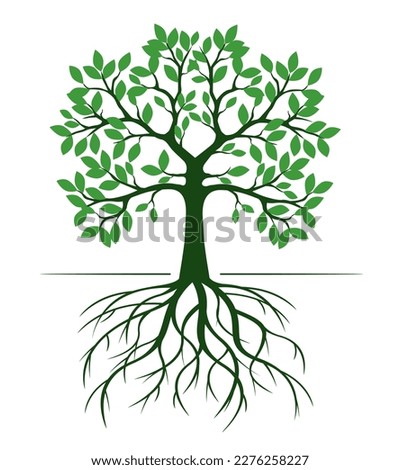 Tree And Roots Drawing | Free download on ClipArtMag