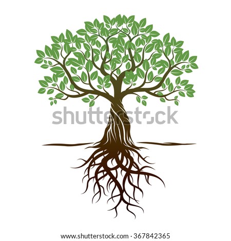 Tree With Roots Clipart | Free download on ClipArtMag