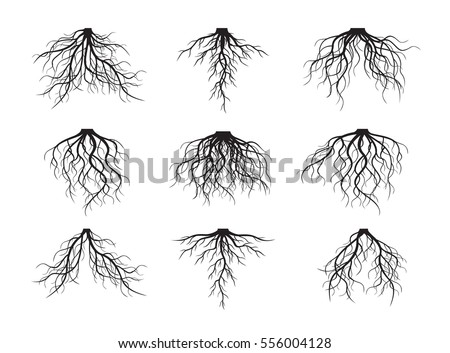 Set of many different
black Roots. Vector outline Illustration.