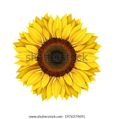 Download Shutterstock Puzzlepix