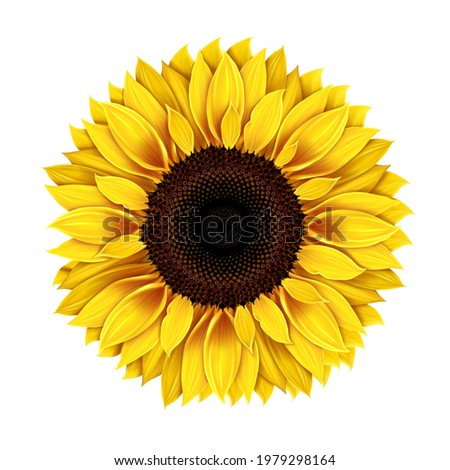 Download Shutterstock Puzzlepix