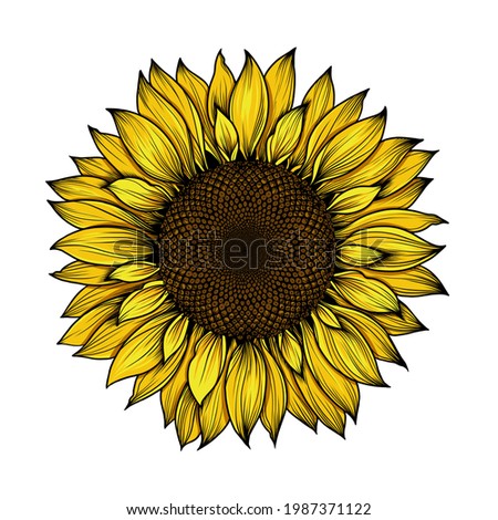 Free Free 308 Realistic Transparent Watercolour Sunflower Svg SVG PNG EPS DXF File