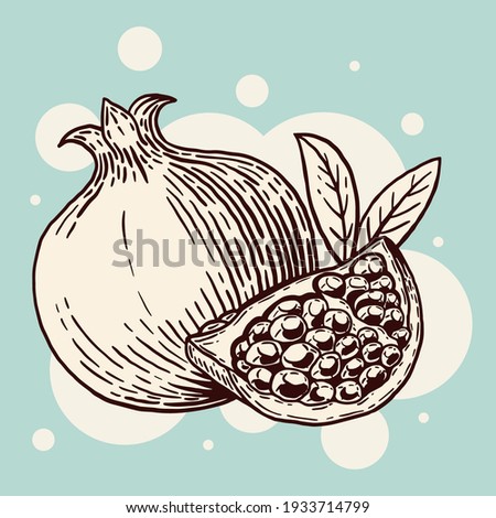 Appetizing pomegranate with leaves and cut off a slice. Delicious fruit. Hand drawn sketch. Vintage style. Vector illustration isolated on color background.