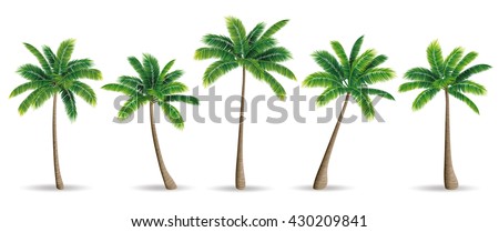 Palm Trees Stock Vector Illustration 430209841 : Shutterstock