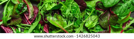 Similar – Image, Stock Photo garden salad Green salad