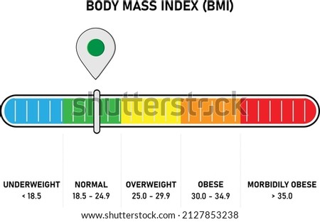 BMI body mass index horizontal meter showing normal BMI value