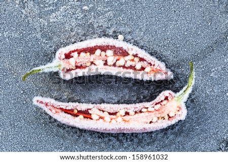 Red hot chili peppers cut open showing seeds, frozen and covered in hoar frost.