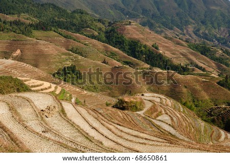 Dragon\'s Backbone Rice Terraces - ancient beautiful rice terraces of Longsheng near Guilin, Guanxi province, China
